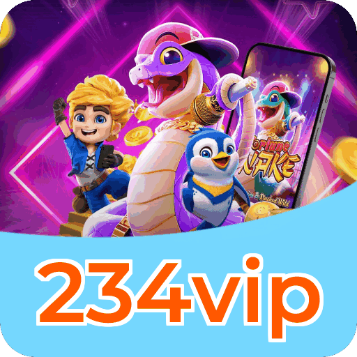 Interface 234vip